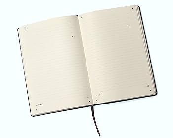 Closed Note クローズド・ノート スタンダード・エディション('07… 314N3lp3NzL.jpg_BO30,255,255,
